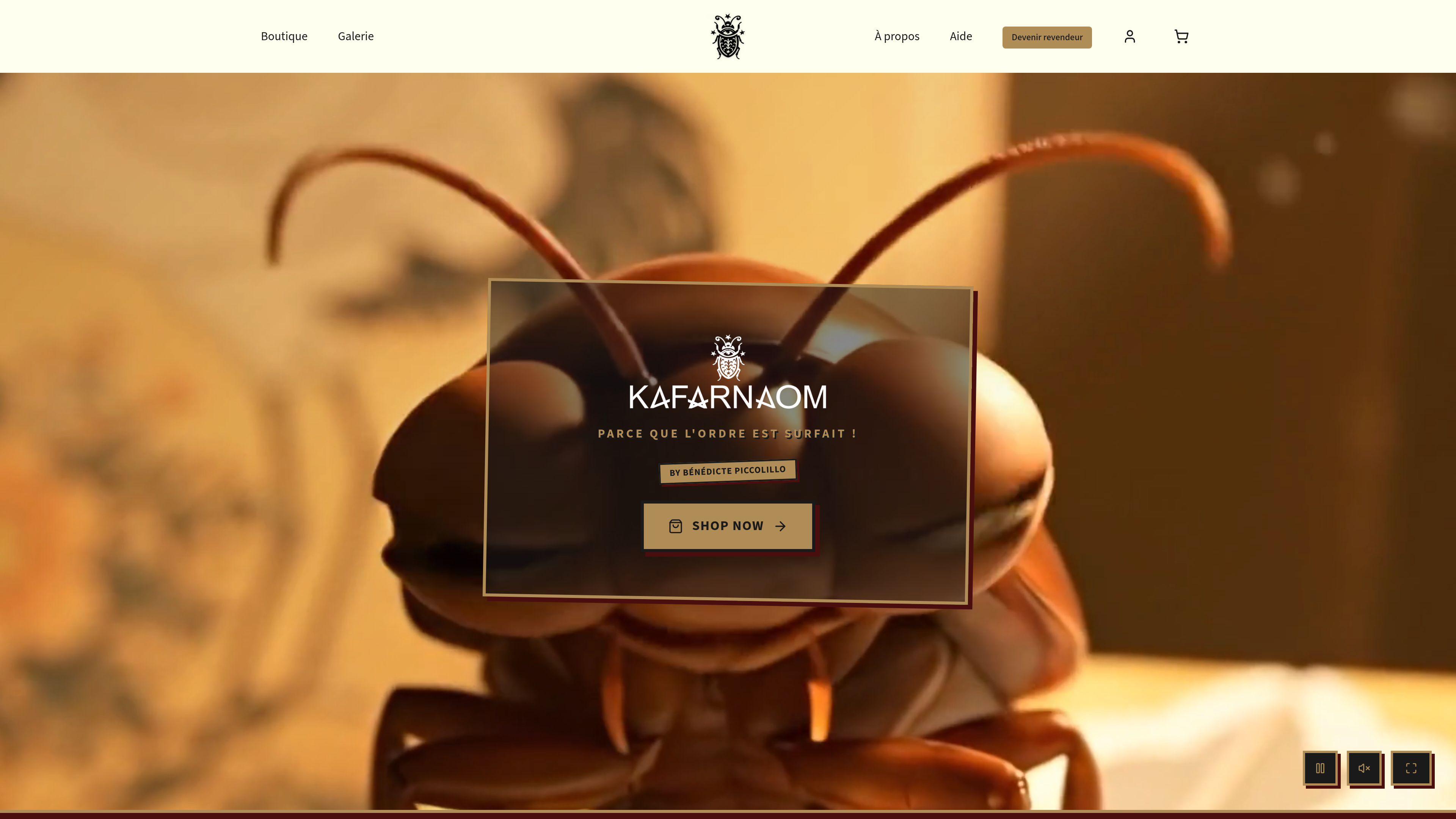 Le site Kafarnaom : un exemple de compromis headless réussi